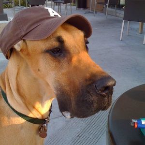 Meet your Posher, Alexandre